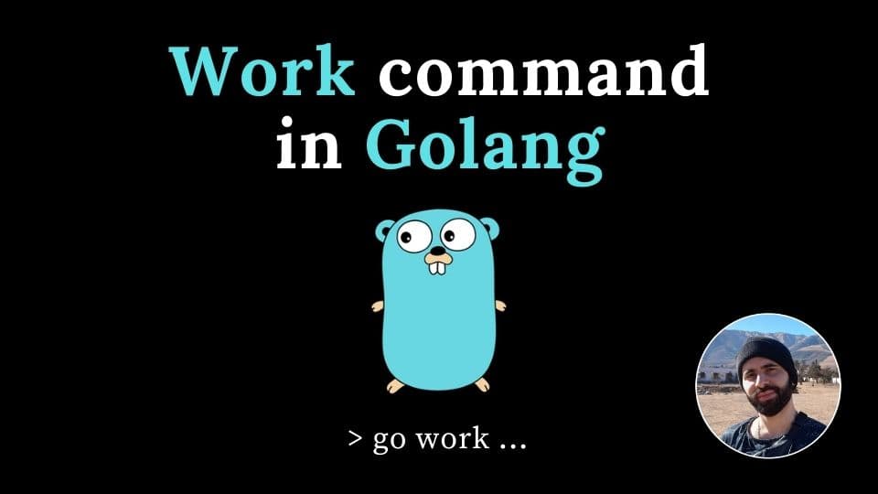 Go Work command - Nahuel Costamagna